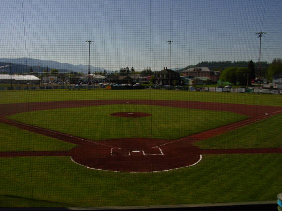 field2.jpg